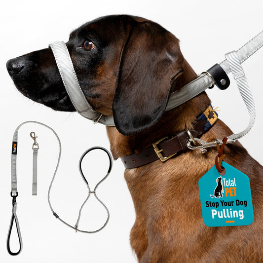 Total Pet Swivel Flat Figure 8 Dog Lead 210cm
