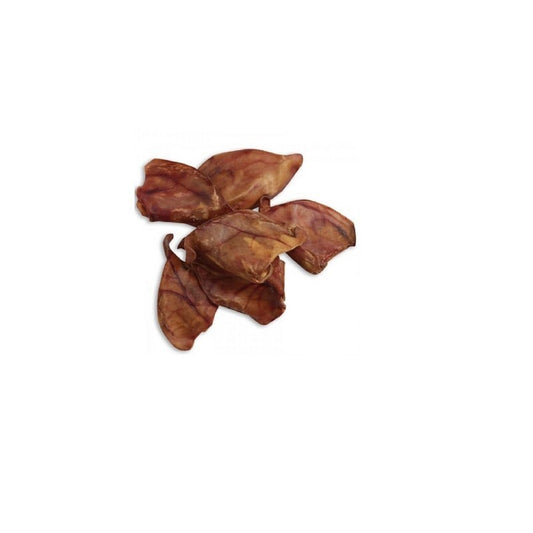 Nova Dog Chews Pigs Ears Large x 50 Box
