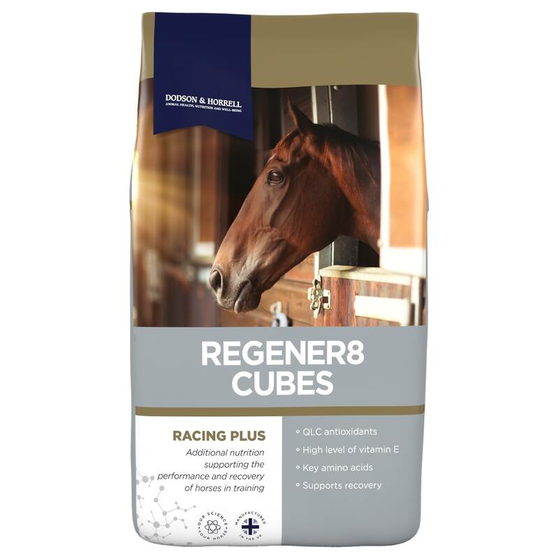 Dodson & Horrell Regener8 Cubes 20kg