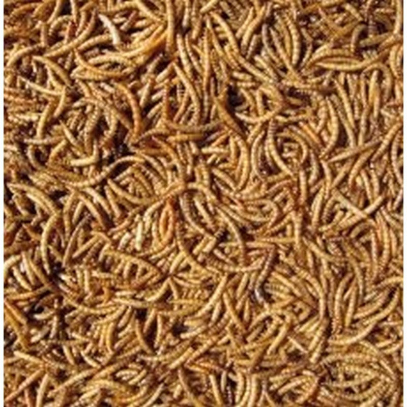 Hutton Mill Dried Mealworms 12.5kg