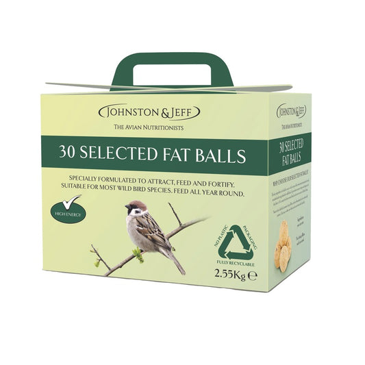 Johntson & Jeff Fatballs Refill without Nets Box x 30