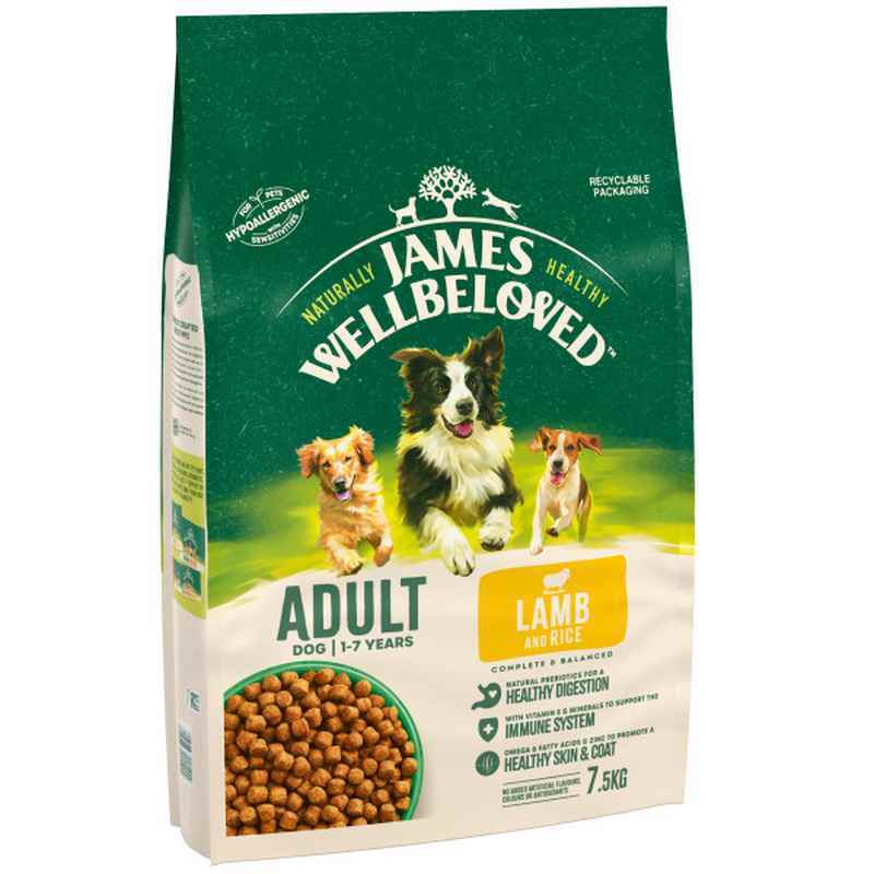James Wellbeloved Adult Lamb & Rice