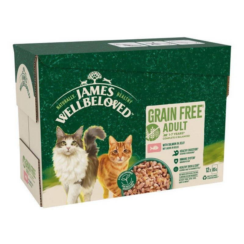 James Wellbeloved Adult Cat Grain Free Salmon in Jelly Pouches 85g x 12 x 4