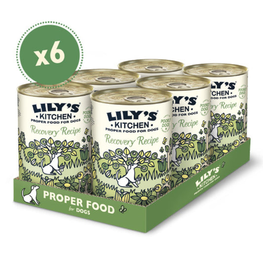 Lilys Kitchen Recovery Recipe Tins 400g x 6
