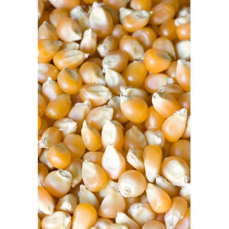 IAnson Whole Maize 25kg