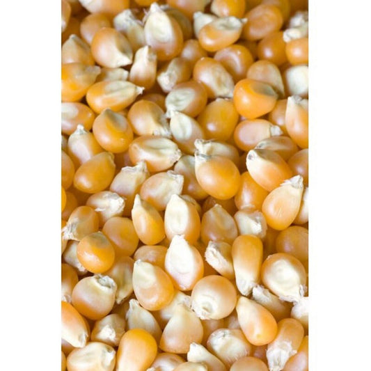IAnson Whole Maize 25kg