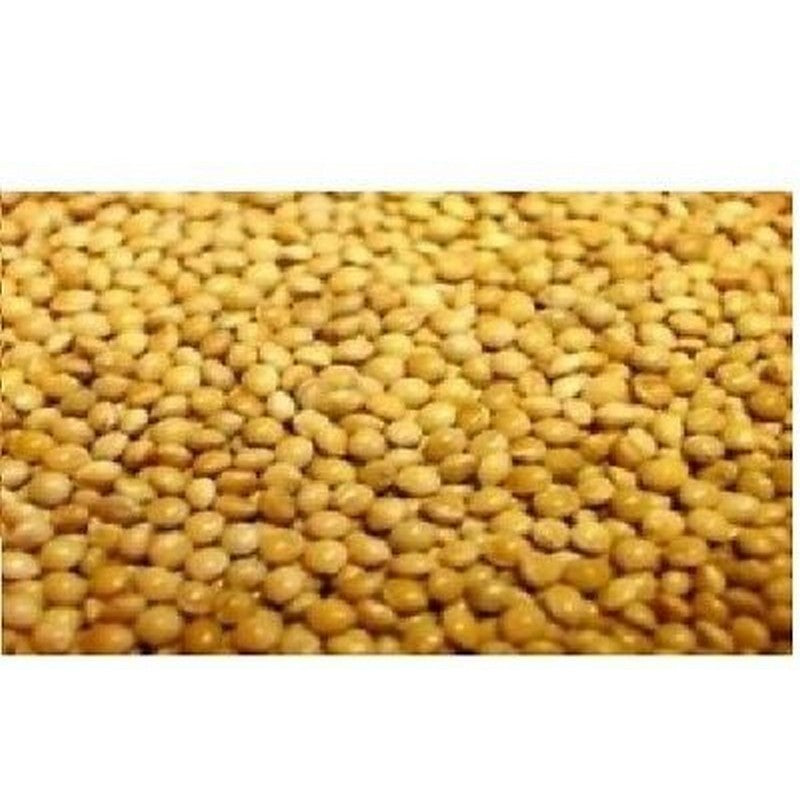 Versele Laga French Yellow Millet Seed 25kg