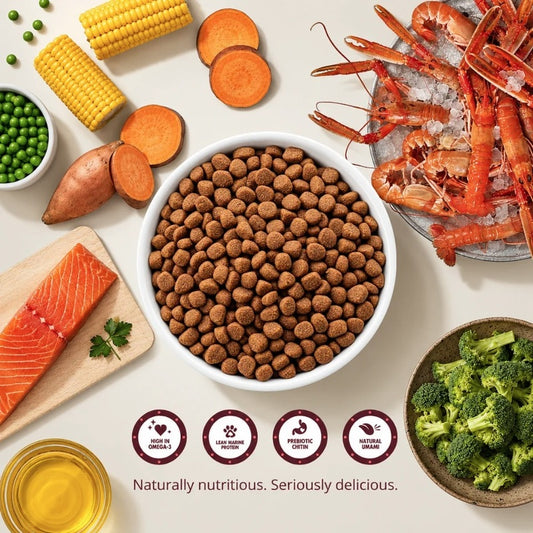Scamp & Paws Dog Everyday Lobster Complete Dry Food 12kg